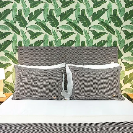 Sweet - Rato Apartamento
